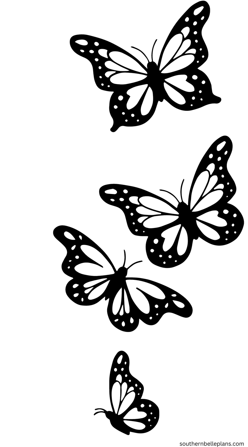 Butterfly Collection